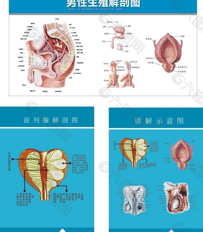 医院男科解破图图片