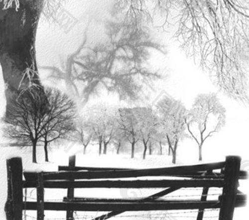 冬日风景笔刷图片