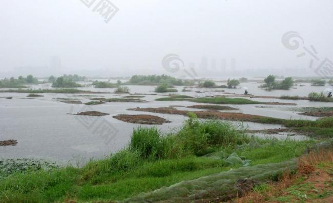 沂河湿地图片