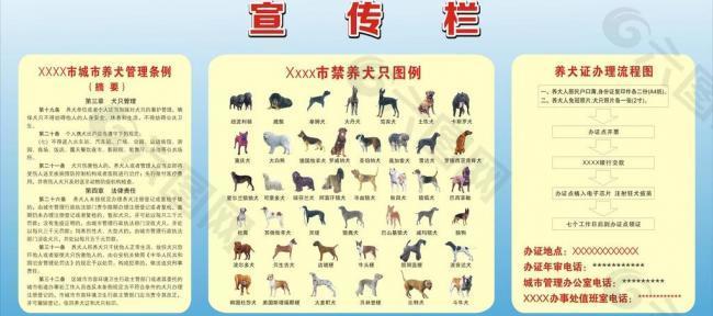 养犬宣传栏图片