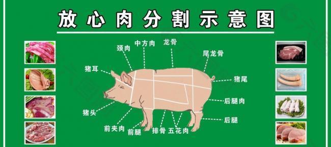猪肉分割图片