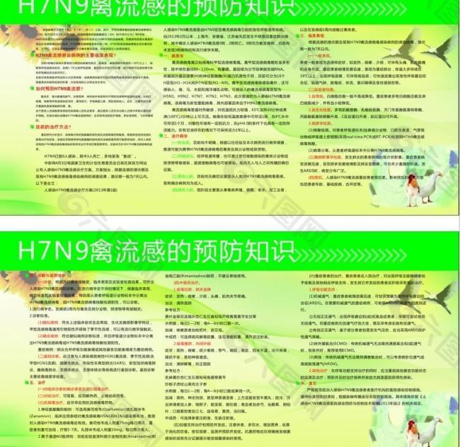 n7h9禽流感宣传展图片