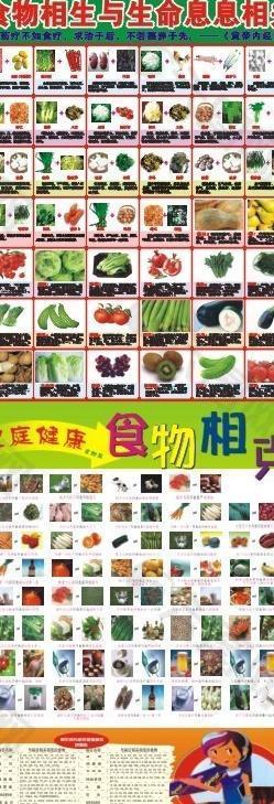 食物相息相克图片