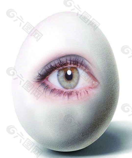 鸡蛋眼睛