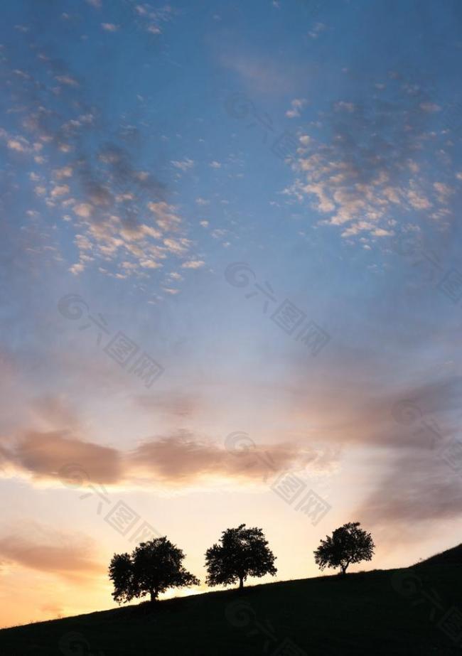 西西里岛晨光中树的剪影图片