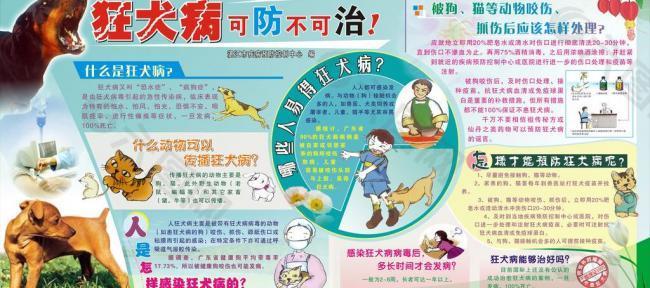 狂犬病宣传墙报图片