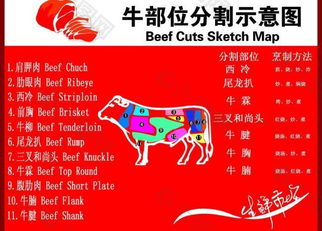 牛肉部位分解图图片