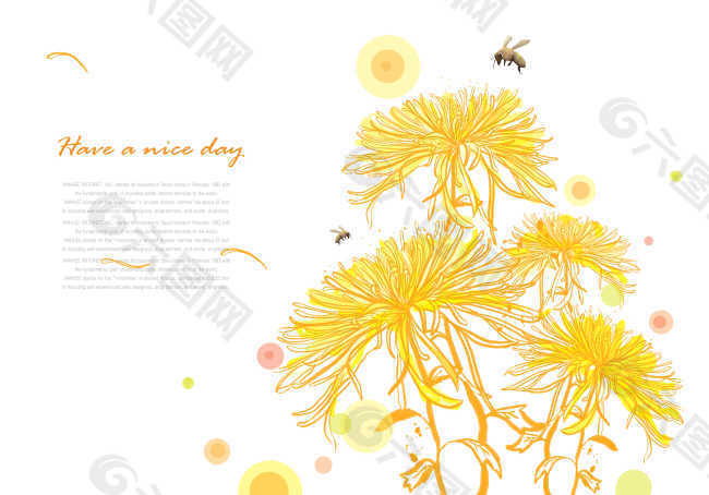 盛开的黄色花朵插画