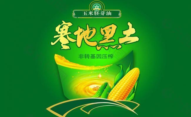 玉米油 豆油图片