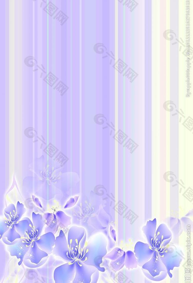 紫色竖条花图片