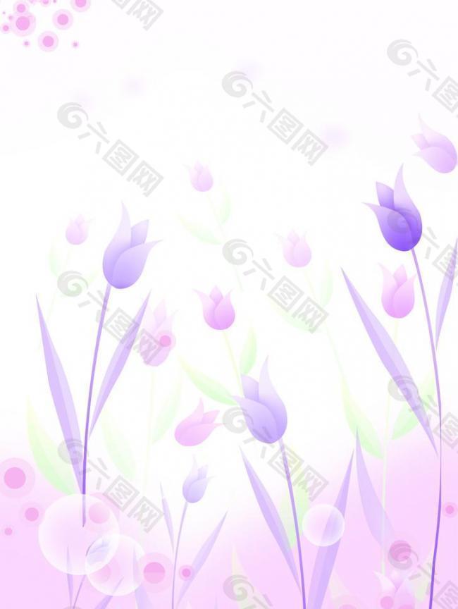 紫薇图片