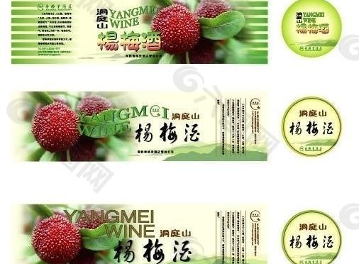 杨梅酒图片