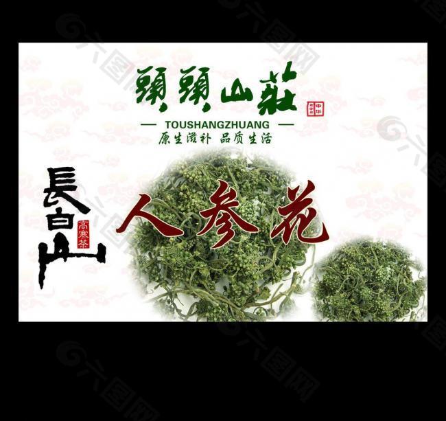 人参花图片 人参花素材 人参花模板免费下载 六图网