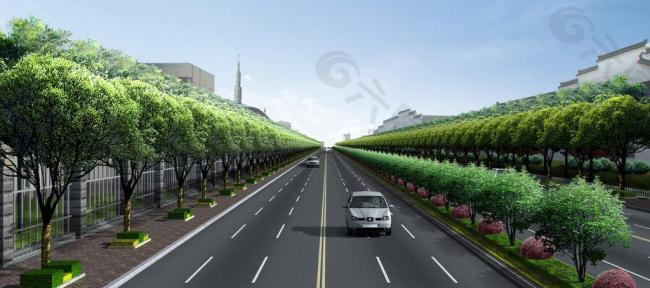 街道绿化效果图图片