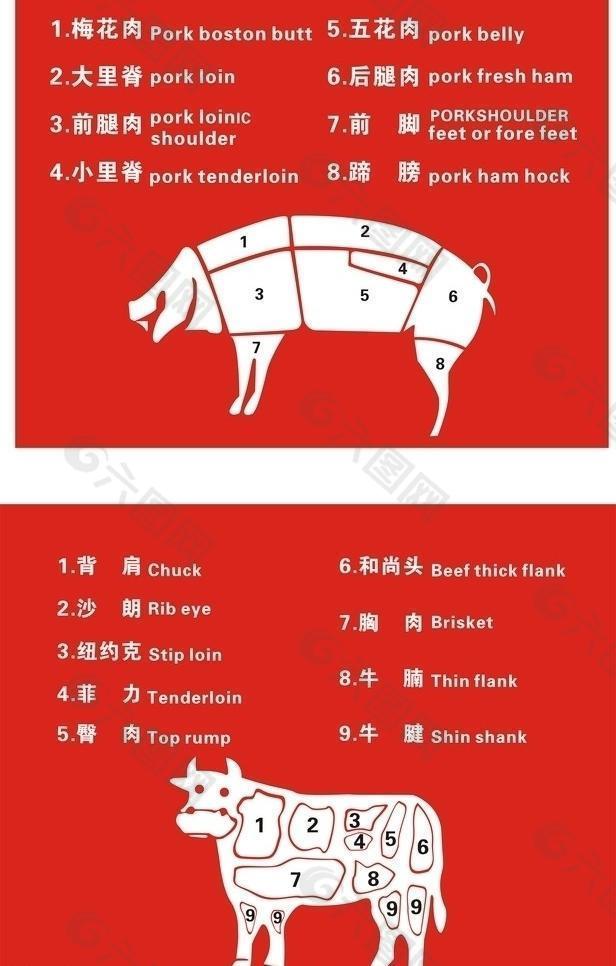 超市猪牛肉分割图图片