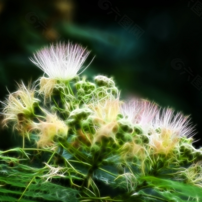 植物花卉炫光光影效果无框画装饰画