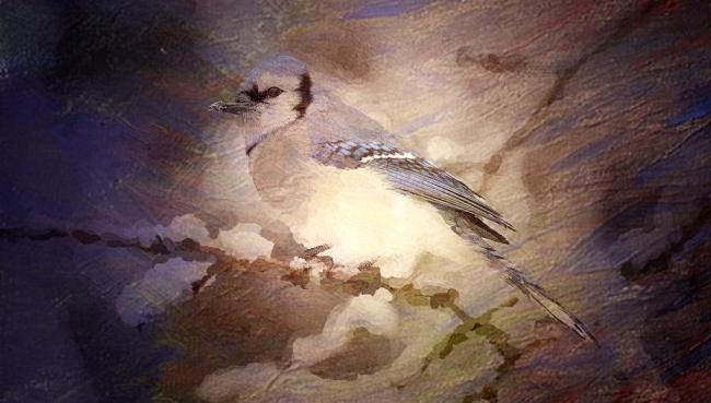 雪中鸟油画（1）图片