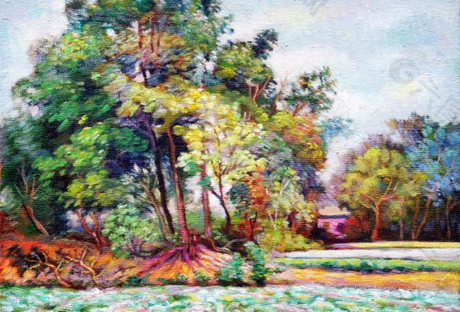 茂盛的林子图片