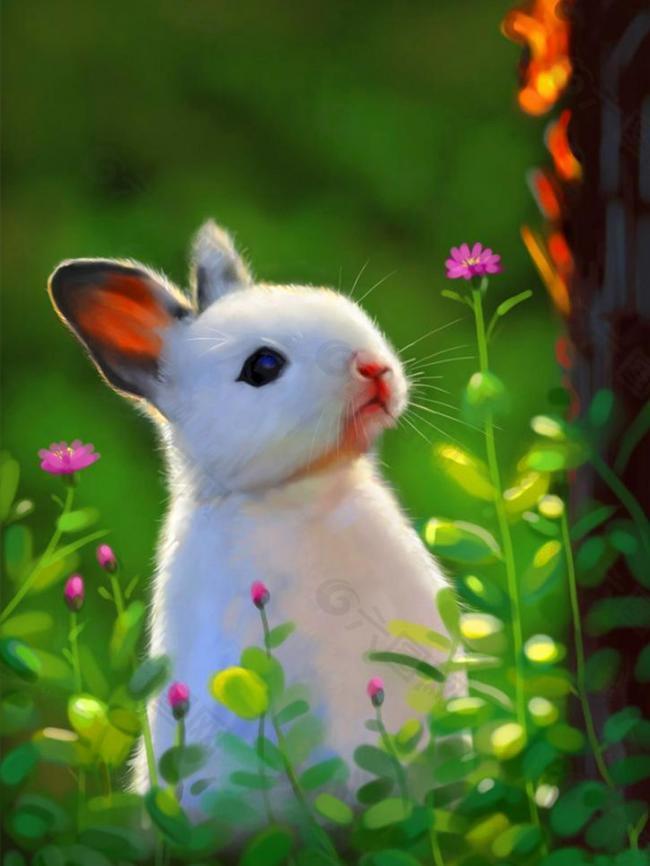 手绘 春天的兔子图片