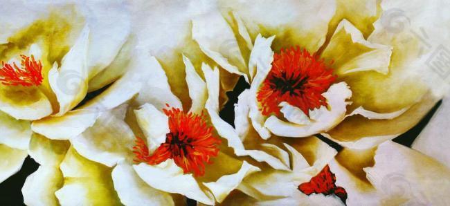 油画花卉牡丹图片