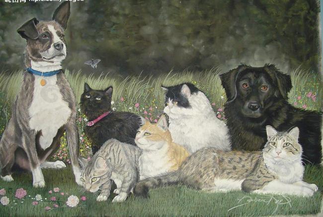油画 狗和猫图片