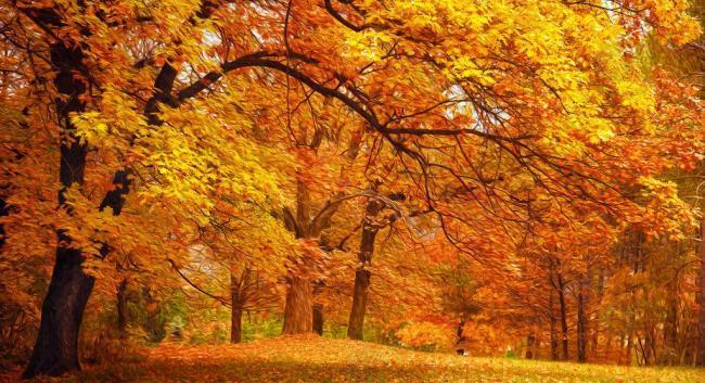 秋天油画风景图片