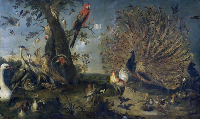 Snyders, Frans - Concierto de aves, 1661大师画家古典山水画古典建筑古典文化装饰画油画