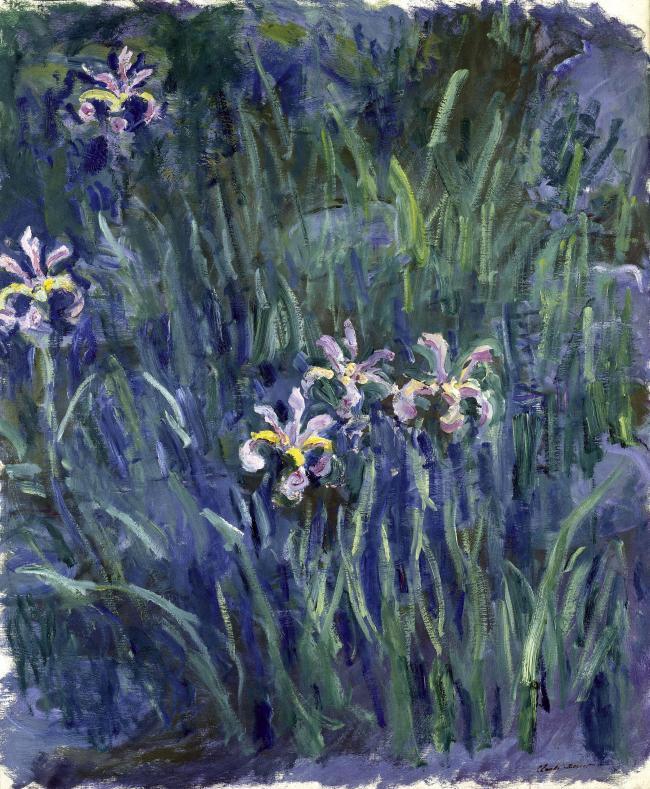 Iris, 1914-1917法国画家克劳德.莫奈oscar claude Monet风景油画装饰画