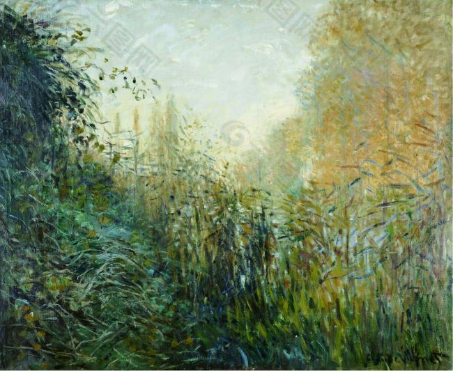 Claude Monet - The Reeds (study)法国画家克劳德.莫奈oscar claude Monet风景油画装饰画