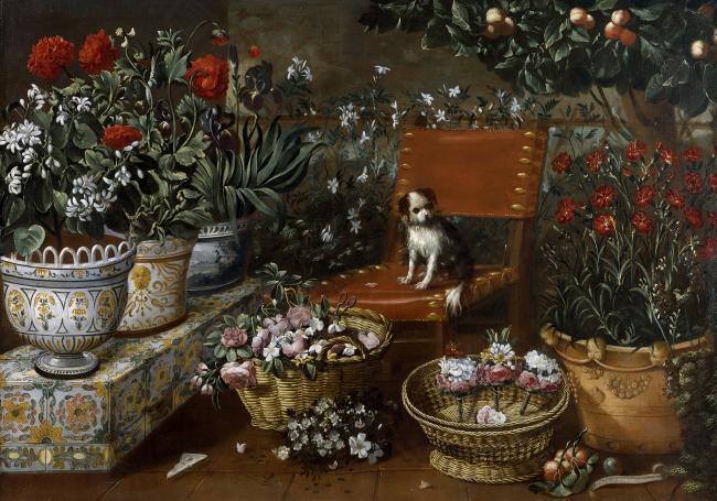 Hiepes, Tomas - Rincon de jardin con perrito, 1660-70花卉水果蔬菜器皿静物印象画派写实主义油画装饰画