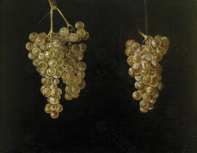 Fernandez el Labrador, Juan - Dos racimos de uvas colgando con mosca, Segundo tercio del 17 Century静