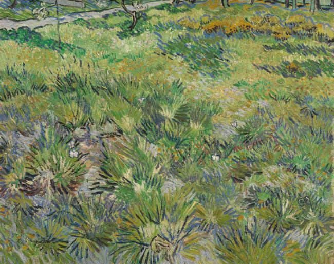 Vincent van Gogh - Long Grass with Butterflies风景建筑田园植物水景田园印象画派写实主义油画装饰画