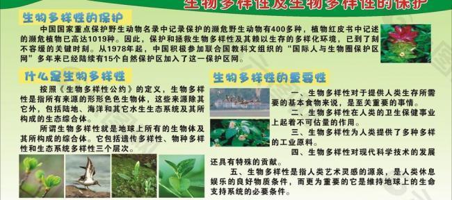 生物多样性及生物多样性的保护图片