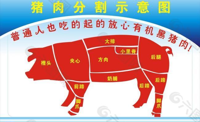 猪肉分割示意图图片