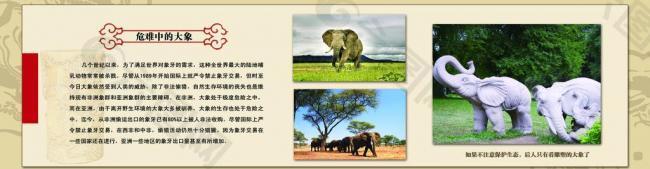 大象展板图片