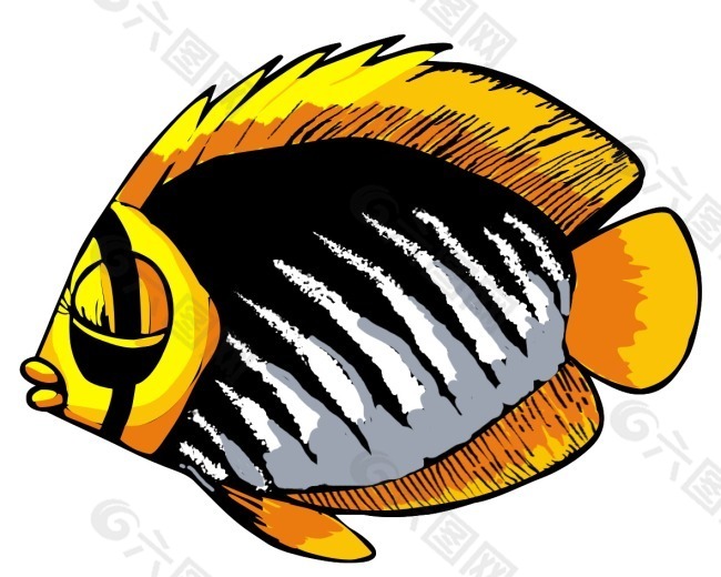 卡通热带鱼