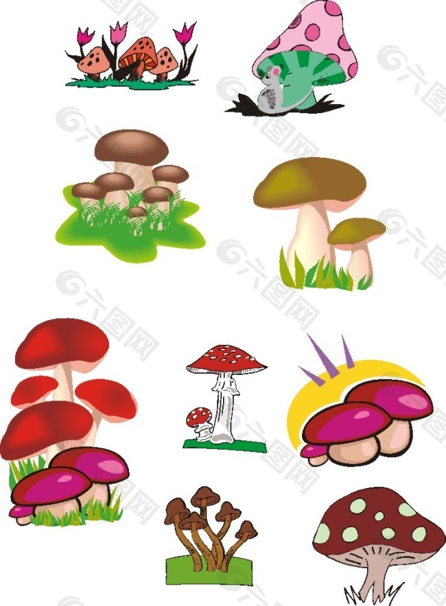 各种蘑菇