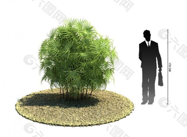 3d绿色植物模型图片