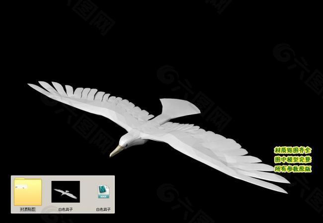 白色鸽子3d三维模型建模图片