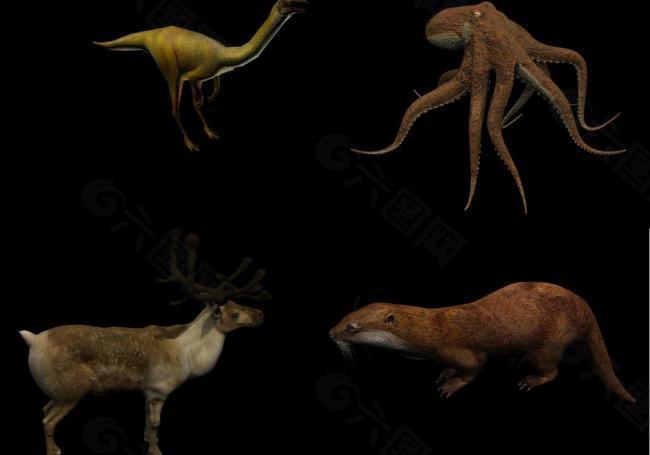 高精度恐龙 人骨 各种动物模型图片