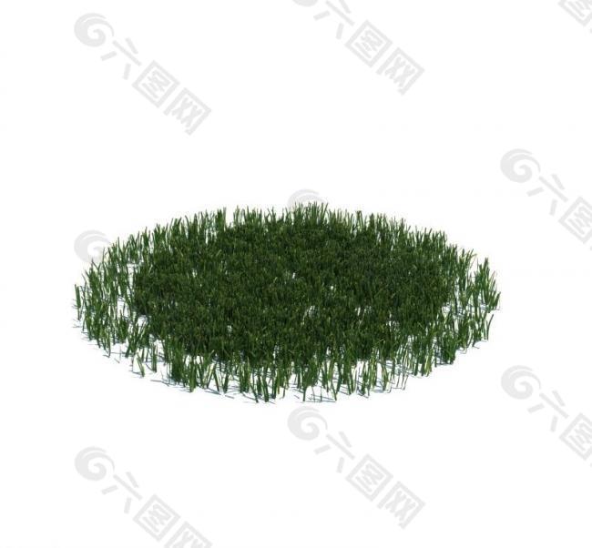 植物模型 小草模型图片