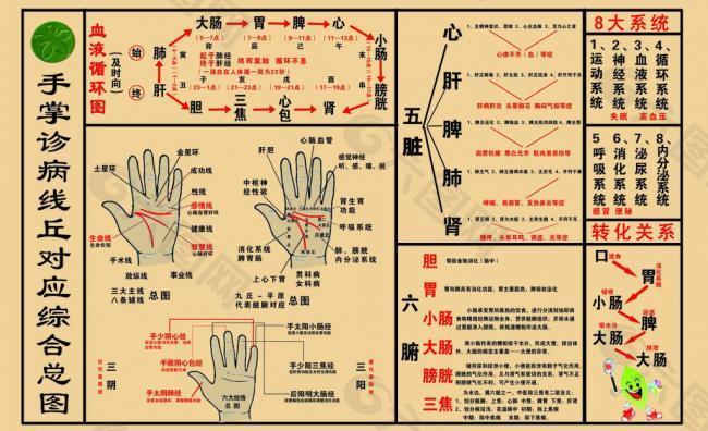 手掌诊病穴位展板图片