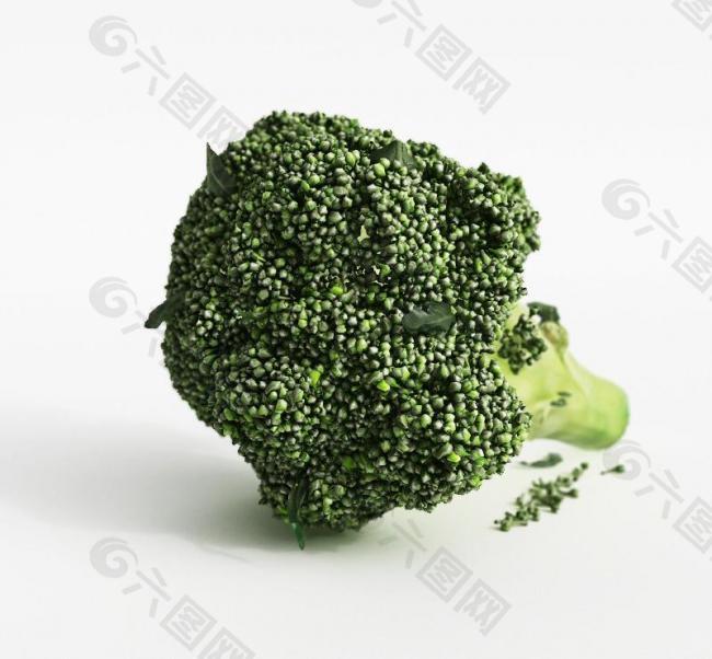 蔬菜模型 花椰菜图片
