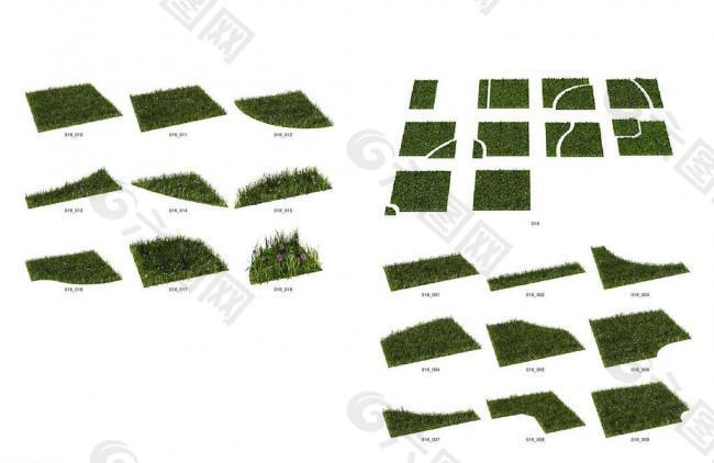 草地 草模型图片