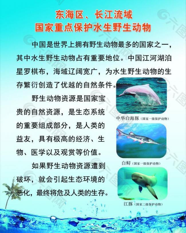 海洋生物展板图片