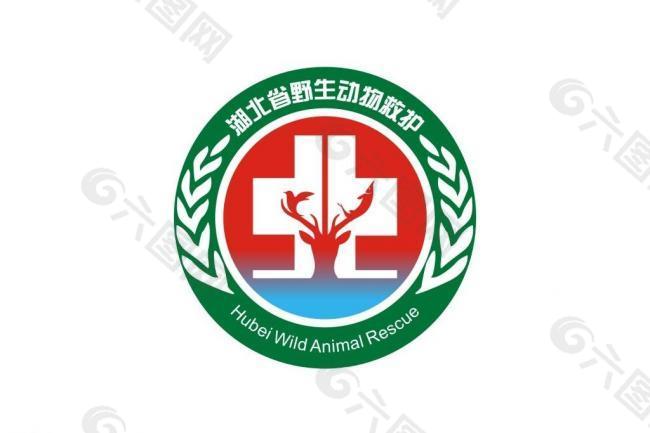 湖北省野生动物救护图片