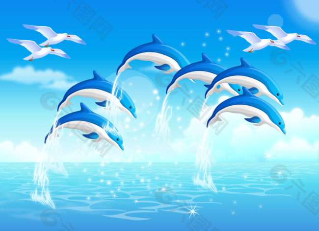 矢量海豚海鸥