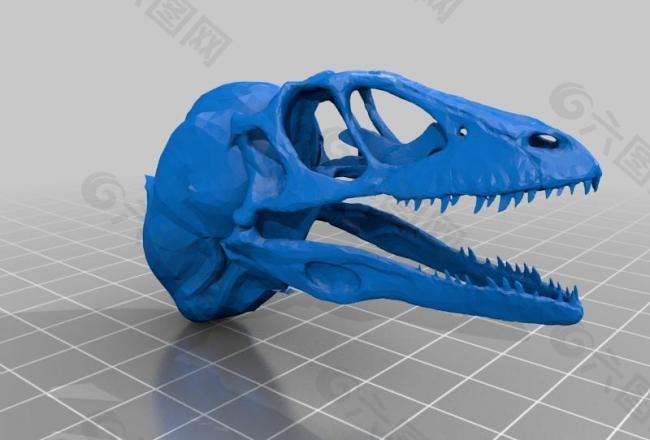 dinosaur skull w/ neck