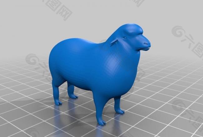 sheep