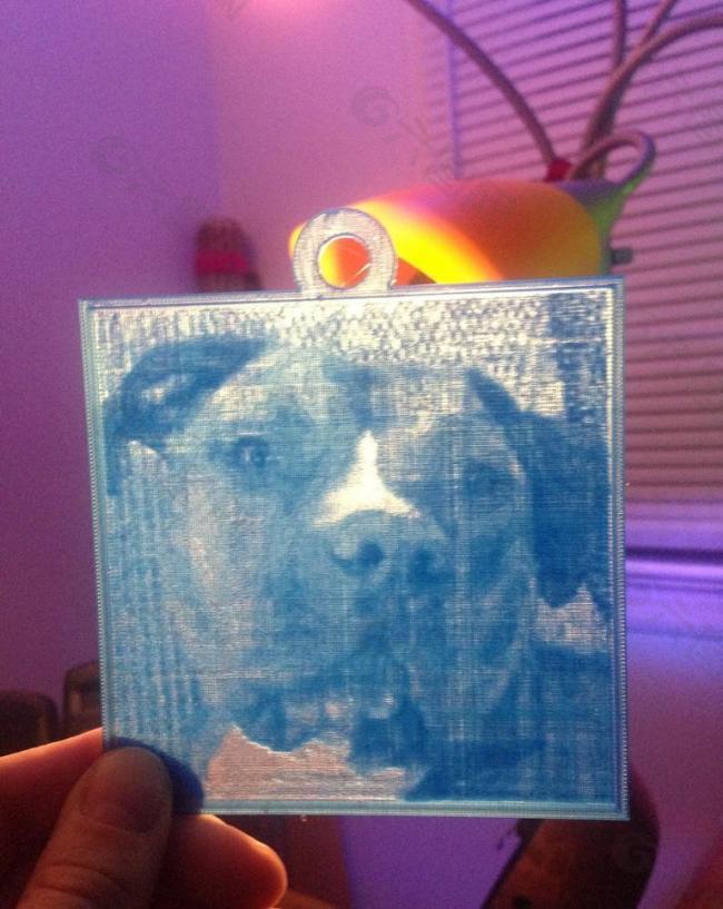 pitbull lithopane2